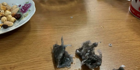 Powiększ grafikę: andrzejki-661143.jpg