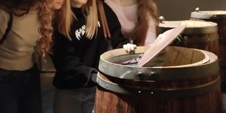 Powiększ grafikę: edukacyjne-wycieczki-historyczne-po-gdansku-663195.jpg