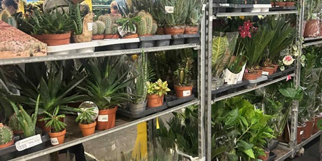 FESTIWAL ROŚLIN W POLSAT PLUS ARENA GDAŃSK