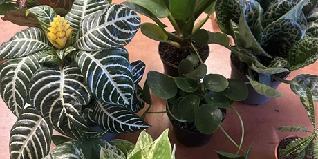 Powiększ grafikę: festiwal-roslin-w-polsat-plus-arena-gdansk-656116.jpg