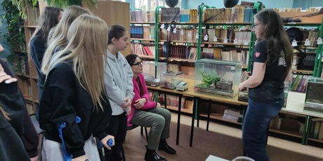 Powiększ grafikę: halloween-z-robalami-w-bibliotece-652308.jpg