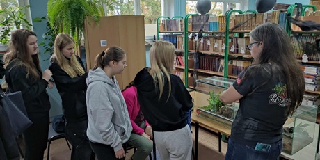 Powiększ grafikę: halloween-z-robalami-w-bibliotece-652310.jpg