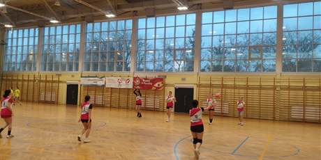 Powiększ grafikę: mistrzostwa-gdanska-w-pilce-recznej-dziewczat-658719.jpg