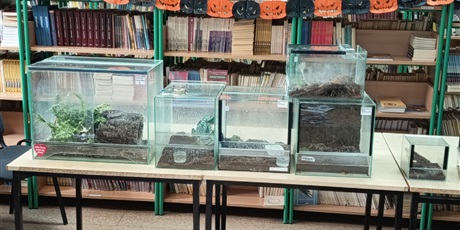 Robale w Bibliotece Szkolnej