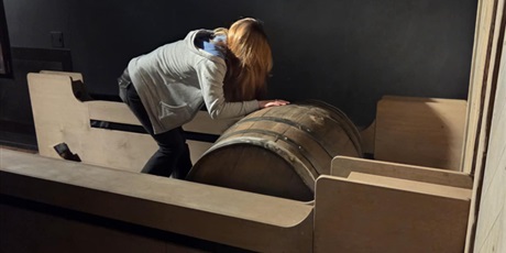 Powiększ grafikę: spacer-edukacyjny-po-gdansku-661155.jpg