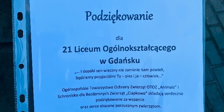 Powiększ grafikę: zbiorka-dla-ciapkowa-589237.jpg