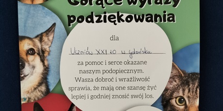 Powiększ grafikę: WSPARCIE DLA SCHRONISKA ZWIERZĄT "PROMYK" W GDAŃSKU